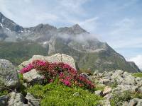 Youri - Ecrins 2005 342